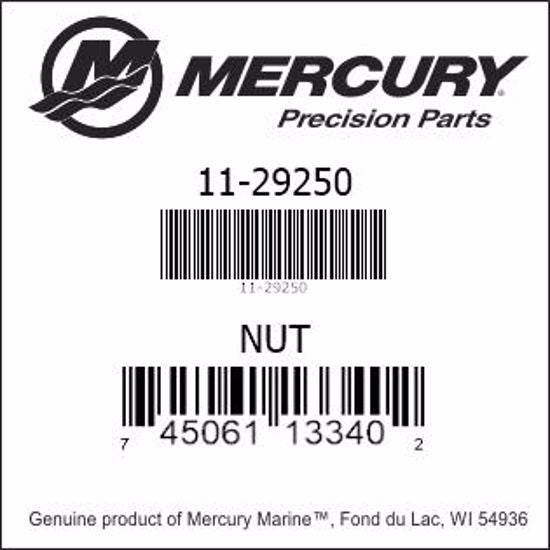 Mercury Nut