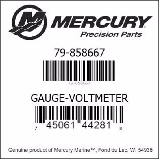Conjunto de medidor de voltímetro Mercury 858667 para Rhino Rider y Rhino Ii