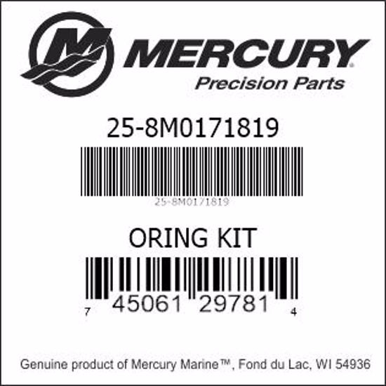Mercury 8M0171819 Juego de juntas tóricas 115