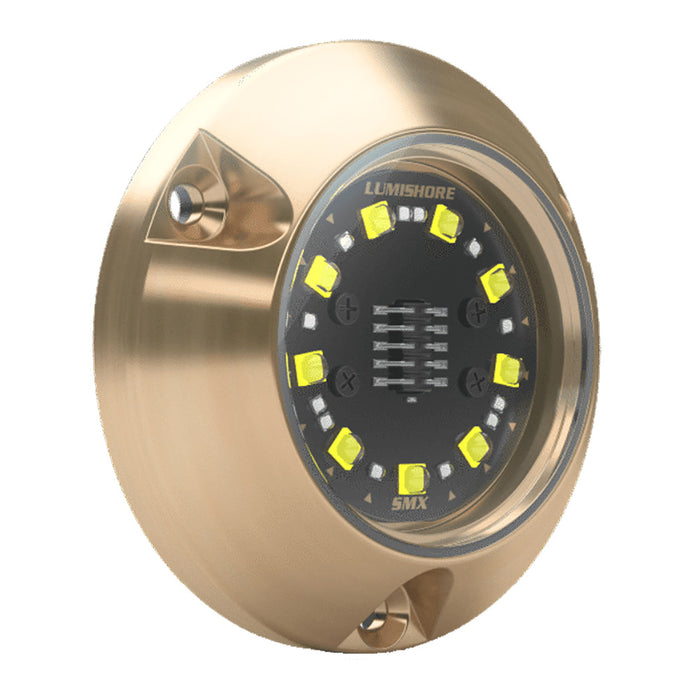 Lumishore 010-04504-00 ECLIPSE SMX24 Single Light Surface Mount Underwater Light, Blue/White