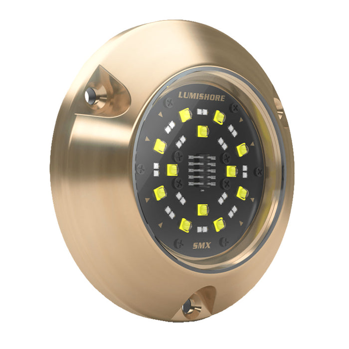Lumishore 010-04505-00 ECLIPSE SMX54 Single Surface Mount Underwater Light, Blue/White