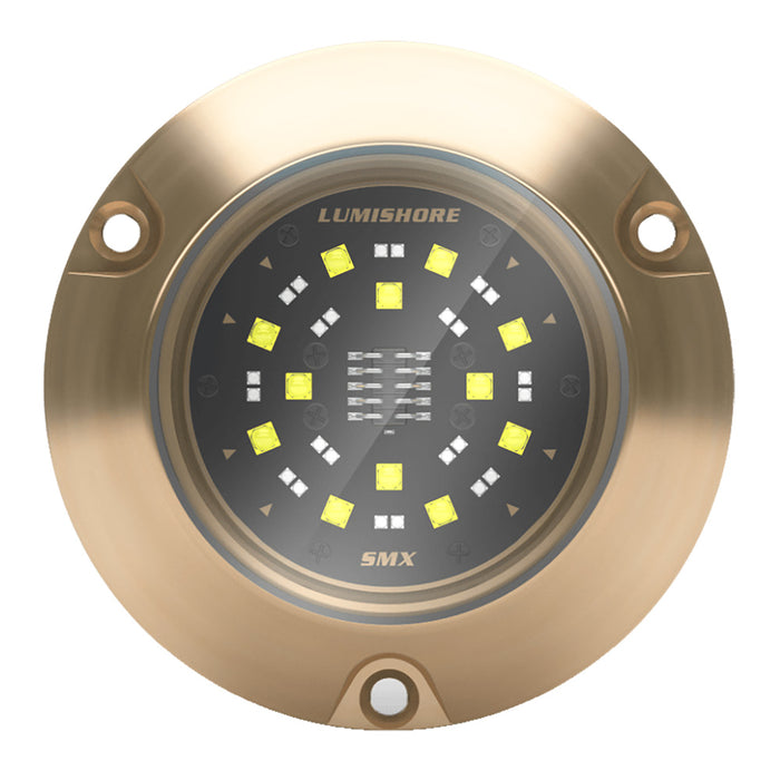 Lumishore 010-04505-00 ECLIPSE SMX54 Single Surface Mount Underwater Light, Blue/White