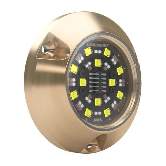Lumishore 010-04506-00 ECLIPSE SMX94 Single Surface Mount Underwater Light