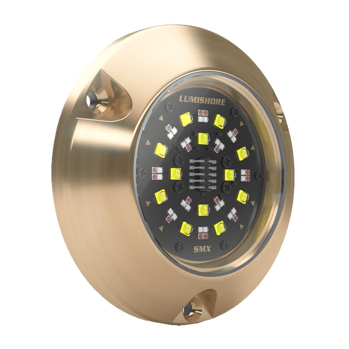 Lumishore 010-04508-00 EOS SMX154 Single Surface Mount Light