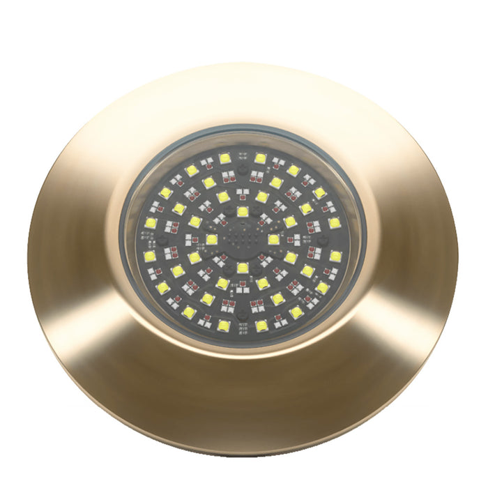 Lumishore 010-04522-00 Luishore EOS THX1604 Thru-Hull Light & Driver