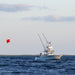 22' BLUEWATER COLLAPSIBLE CARBON FIBER OUTRIGGER PAIR