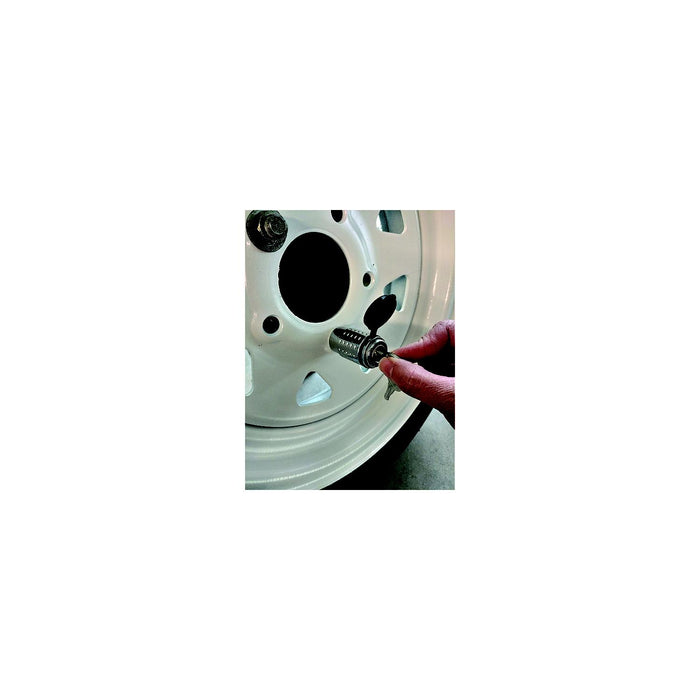 C.T. Johnson Enterprises STL Spare Tire Lock