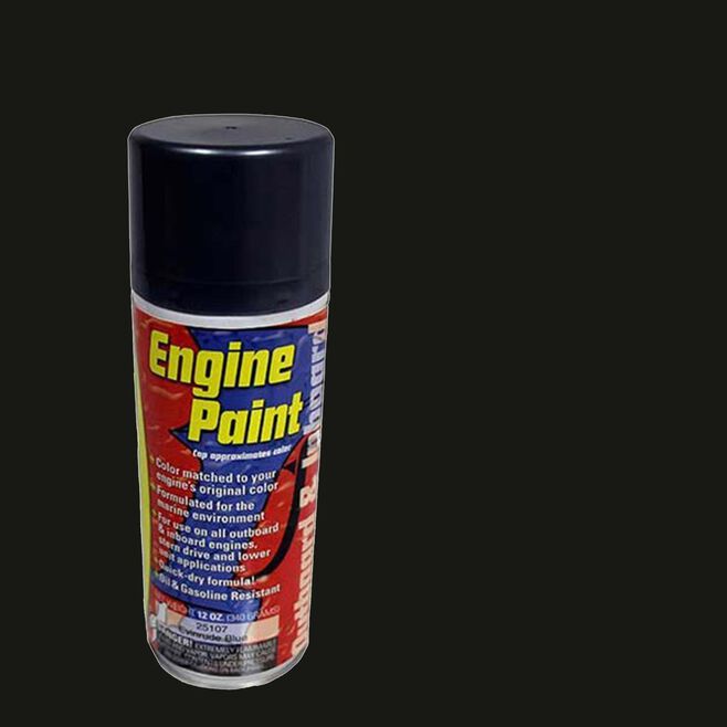 Moeller 25804 Engine Spray Paint, Suzuki Shadow Black