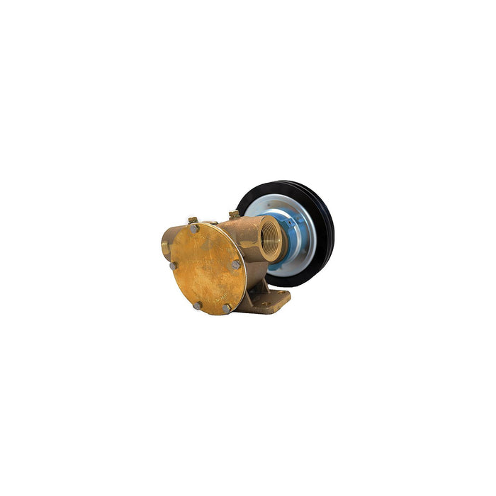Johnson Pump 10-13022-84 F8B-5 1-1/4" NPT Electric Clutch Pump ,12 V,2xA Pulley