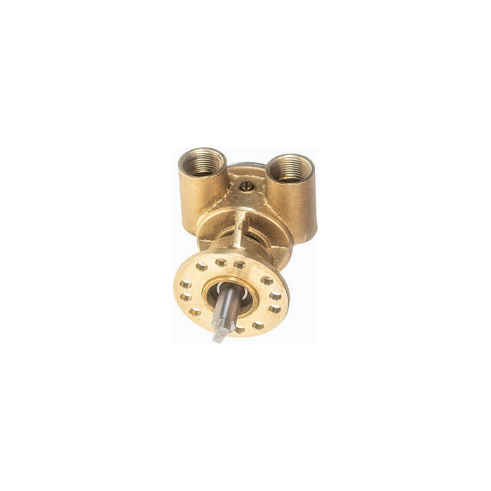 Johnson Pump 10-24334-11 OEM Flexible Impeller Pump for Select Nanni Engines