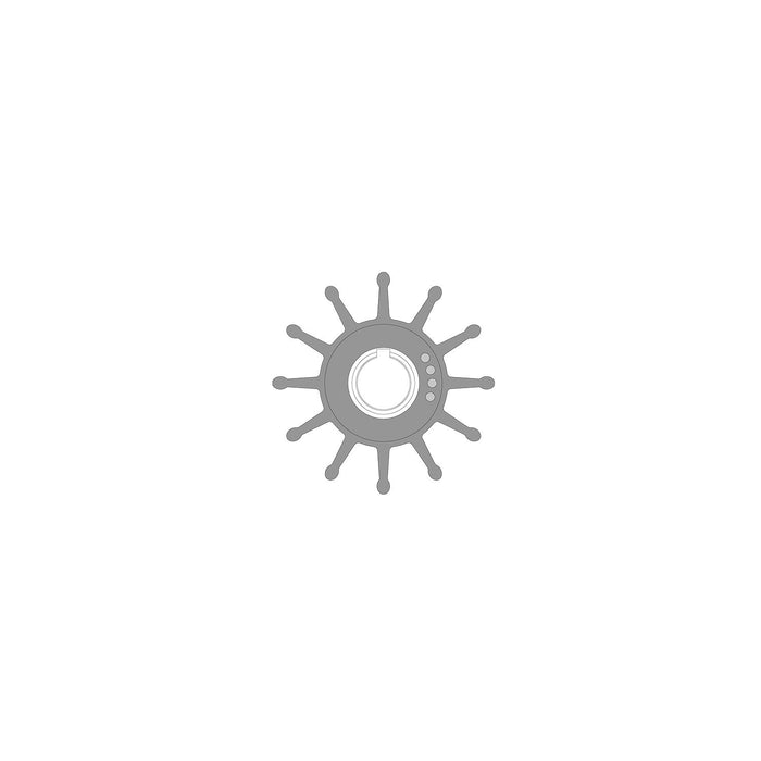 Johnson Pump 09-704BT-1 Impeller Replacement Kits, 17000K