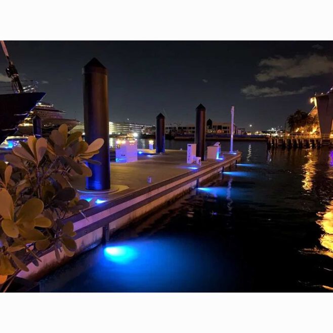 Lumitec 101636 Kraken Dock Lighting System, Bronze, Dual Color White/Blue