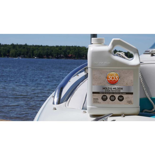 Gold Eagle 30589 303 Mold & Mildew Cleaner + Blocker, Gal.
