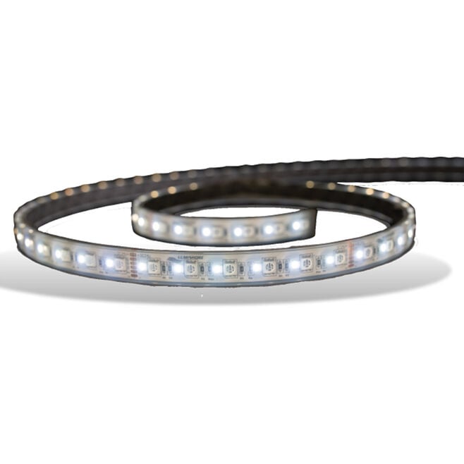Lumishore 010-04482-00 ECLIPSE SL100 White Strip Light 5M