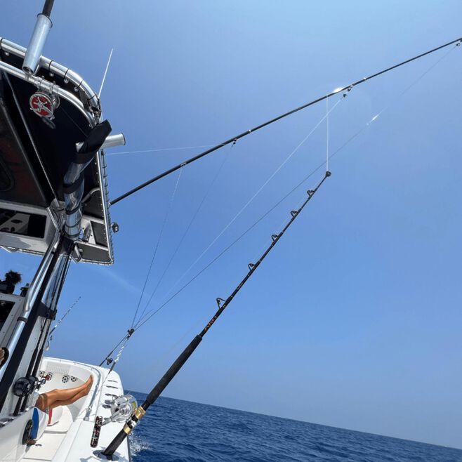 Taco Metals OI-3220CF Taco Open Water Internal & Collapsible Carbon Fiber, Outrigger Poles, 22"