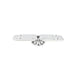 Boat Hinge 180º FM