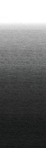 Dometic B3314989NR.414 Universal Replacement Fabric, 14', Onyx