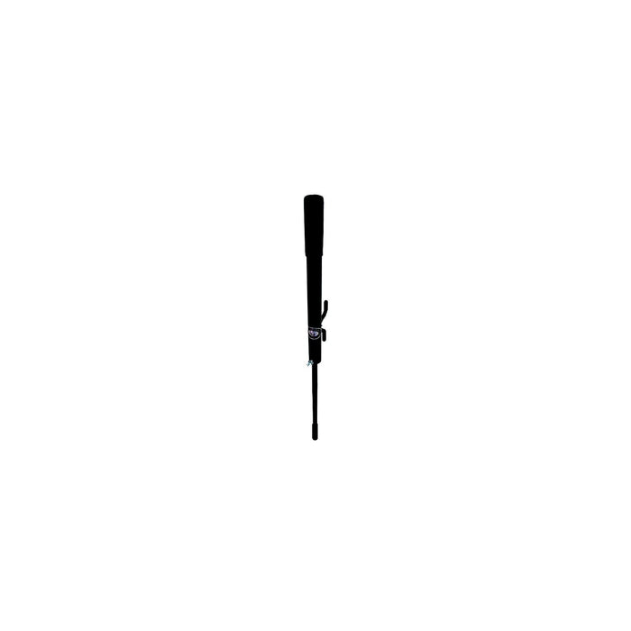 Greenfield Products 3028 Beach Spike Anchor Powder Coated Black