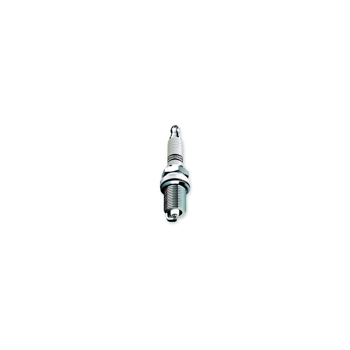 Champion D21/64989 Spark Plugs, D21, #502 6/Pack 64989
