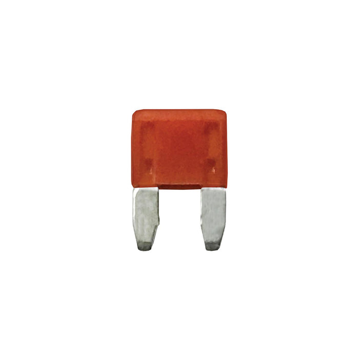 Wirthco 24110 Battery Doctor Minblade Fuses, 10A, 5/Pk