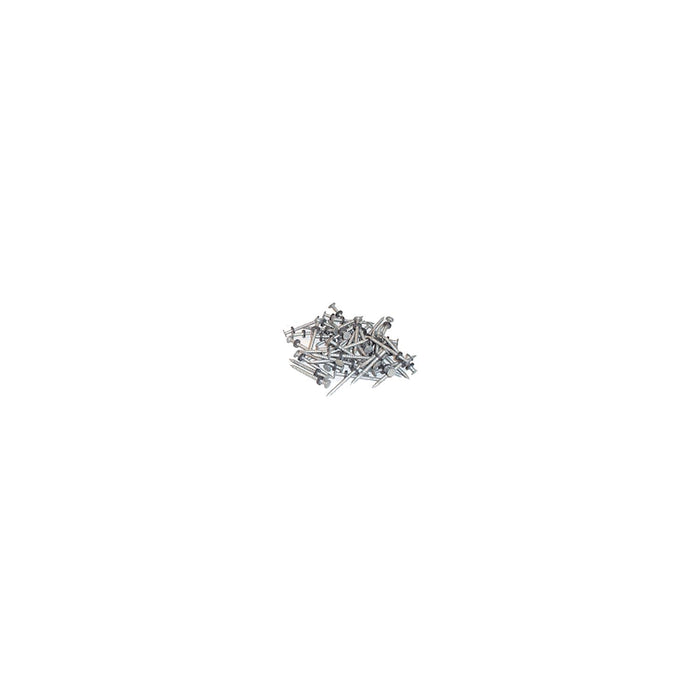 Taylor Made Products 96028 Taylor Galvanized #6 Nails w/Washers 1/8# 12/Cd