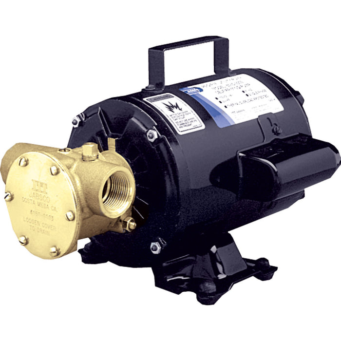 Jabsco Utility Pump with Open Drip Proof Motor - 115V