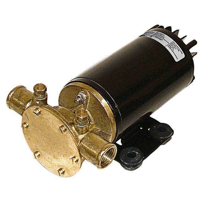 Johnson Pump 10-24689-03 F4B-19 12V 12.5 GPM Pump for Bilge Pumping, Deckwash, Water Circulation & More