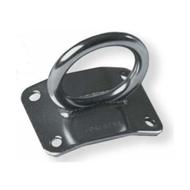 Forespar 400002 Mast Pad Eye, Curved Base