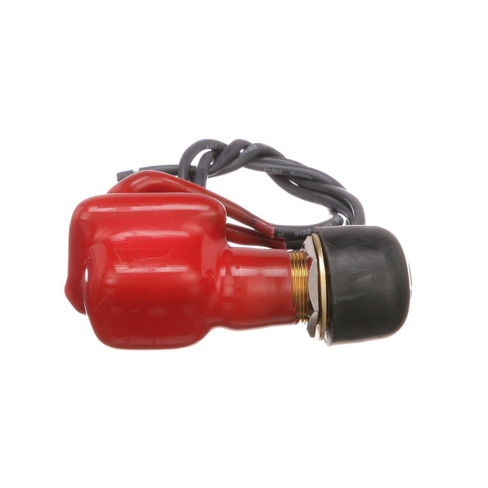 Seachoice 11761 2-Position Off/Momentarily On Push Button Switch, 6-36V, 18 Gauge Wire Leads