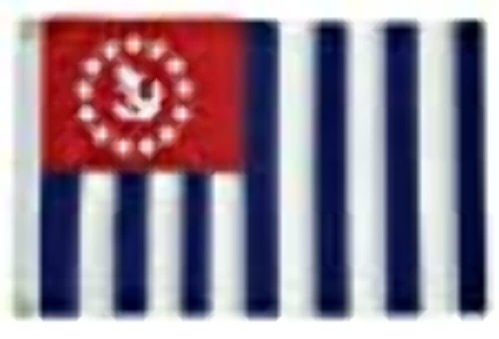 Taylor Made Products 8218 Taylor Deluxe Sewn Flag