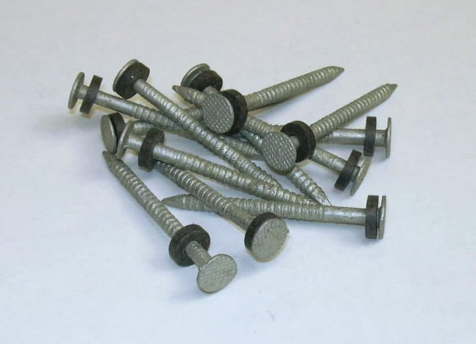 Taylor Made Products 96028 Taylor Galvanized #6 Nails w/Washers 1/8# 12/Cd