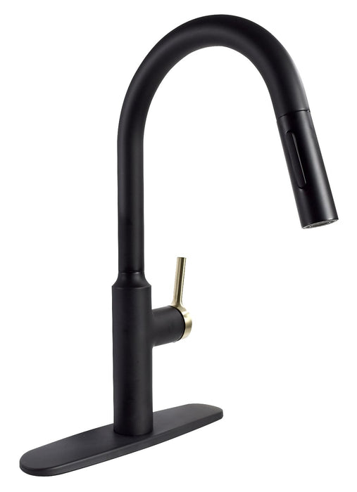 Valterra PF231780 8" Premium Slimline Single Handle Pull Down Kitchen Faucet, Matte Black w/Gold Handle