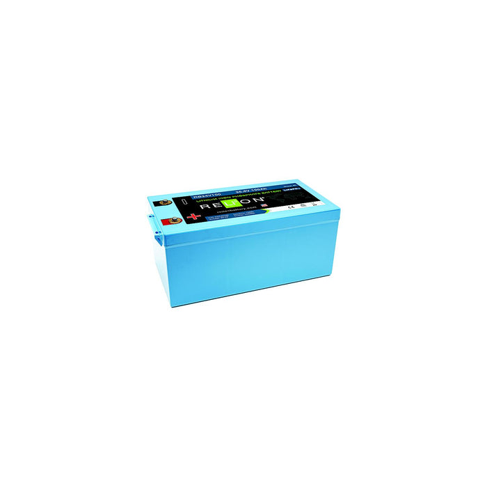 RELiON RB200 LiFePO4 Lithium Iron Phosphate 12V Battery, Group 8D