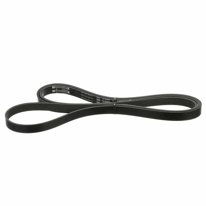 EMP 57-57031 Belt Serpentine