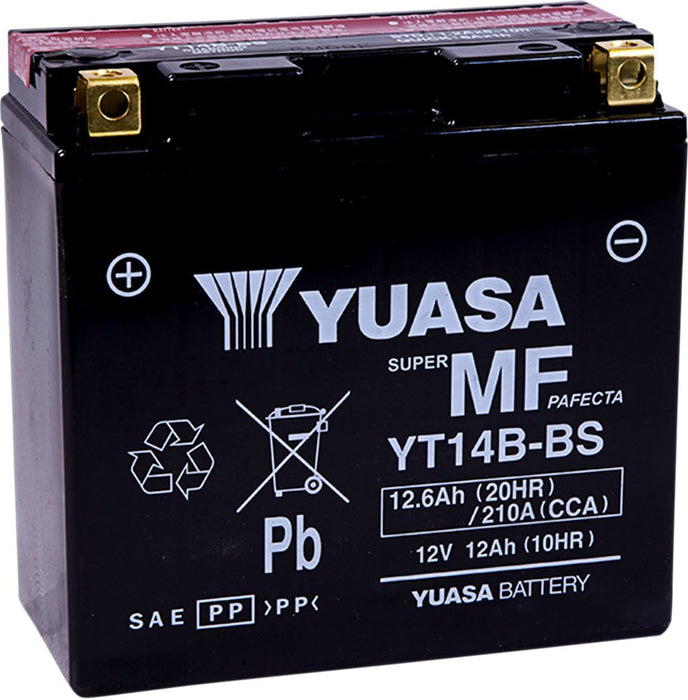 Yuasa Battery Inc. YUAM624B4 Yuasa Maintenance Free Battery Fresh Pack