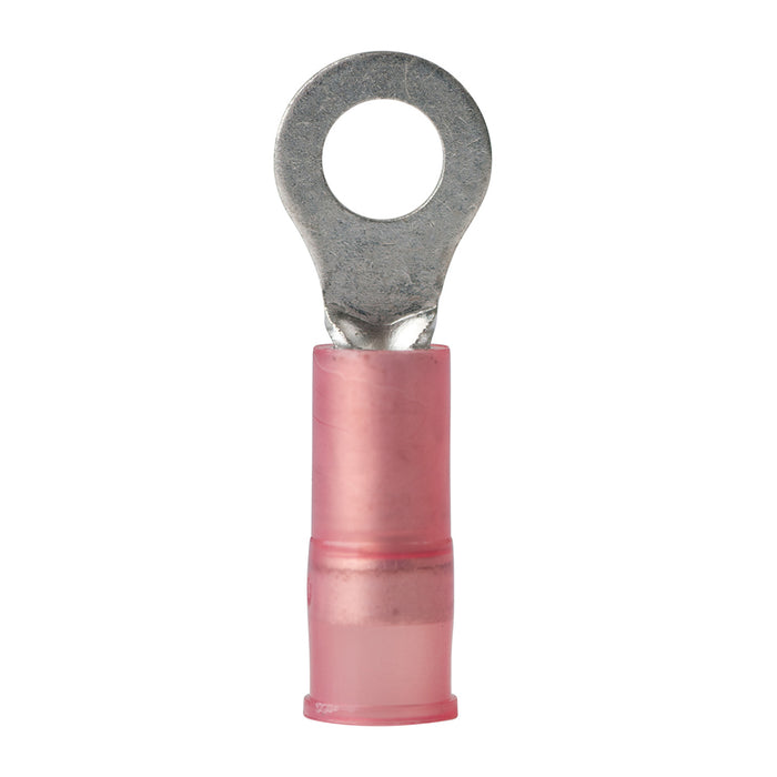 Terminal de anillo de nailon Ancor 22-18 AWG - n.° 8 - Paquete de 25