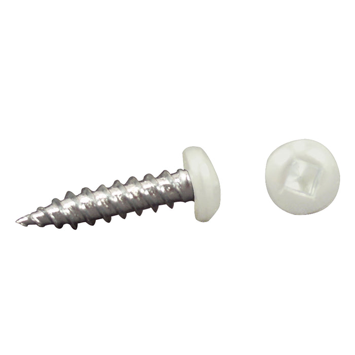 AP Products 012-PSQ50W 8X1-1/4 Pan Head Square Recess Screw, 8 x 1-1/4, White, 50/pk