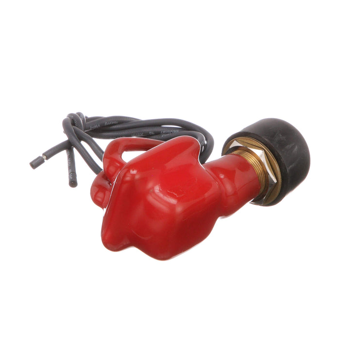Seachoice 11761 2-Position Off/Momentarily On Push Button Switch, 6-36V, 18 Gauge Wire Leads