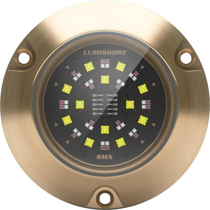 Lumishore 010-04508-00 EOS SMX154 Single Surface Mount Light