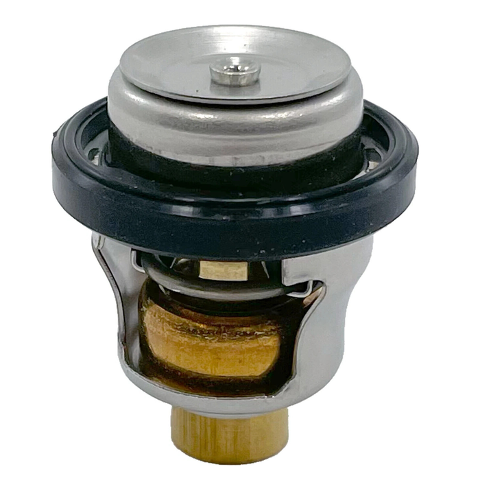EMP 75-02664 Thermostat 60C