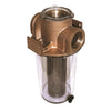 Groco ARG-2500 Series 2-1/2" Colador de agua cruda Cesta de acero inoxidable
