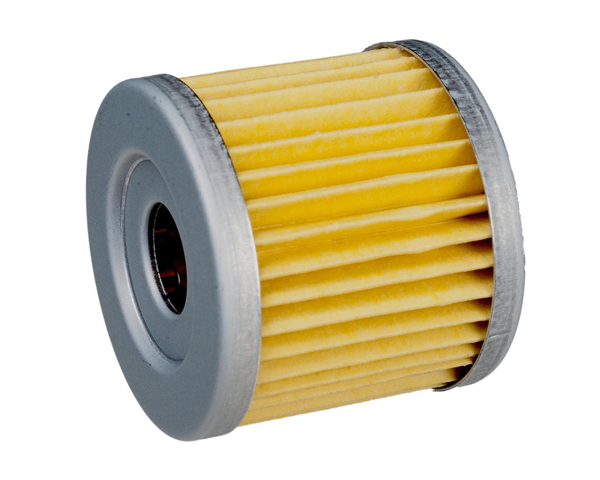 Sierra 18-8870 4-Cycle Outboard Oil Filter