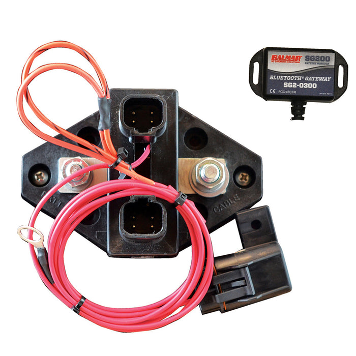 Balmar SG205 Battery Monitor Kit, 12-48V