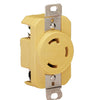 Receptáculo Marinco 305CRR 30A - Amarillo - 125V