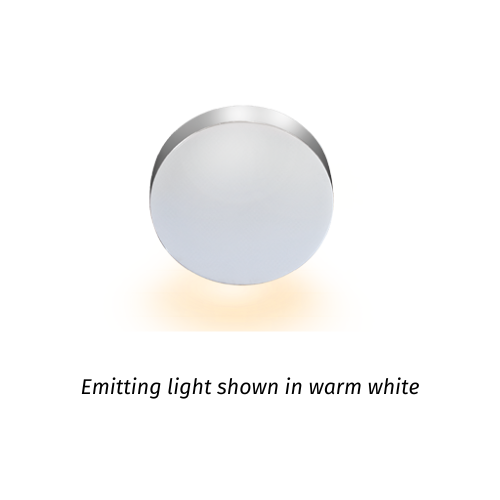 BCM Florida 40 1L Polished Stainless Steel 1.5W Blue LED | Screw Mount, 1.5W, 8-32V, IP66