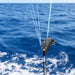 Double 500lb GEMLOX with Heavy Duty Custom Rope