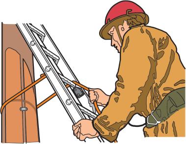 Sea-Dog CL206 Lateral Starboard (002060-1)