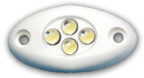 Imtra Lighting LED Cluster Courtesy Light, White, 12V | 4 x White LED