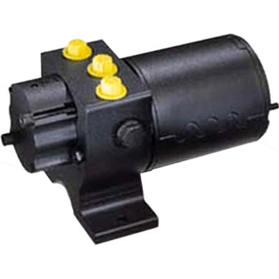 Raymarine Type 2 Pump 12V