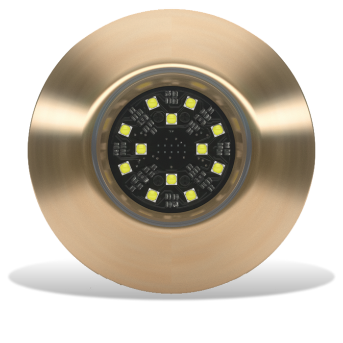 Lumishore Ora TIX404- White, 110 Degree Beam | 10.5-31 Volts, Bronze Body, 5,100 Fixture Lumens